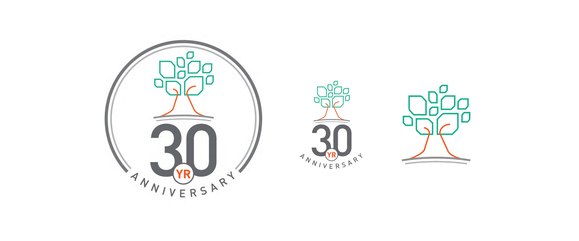 Multiple versions of the 30th Anniversary Logo