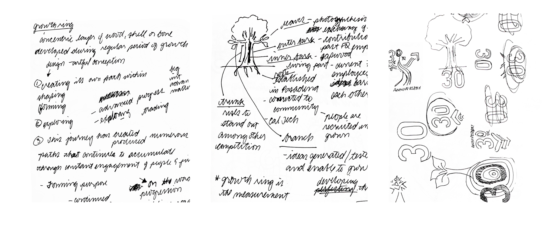 Different views of the process in creating the story and logo