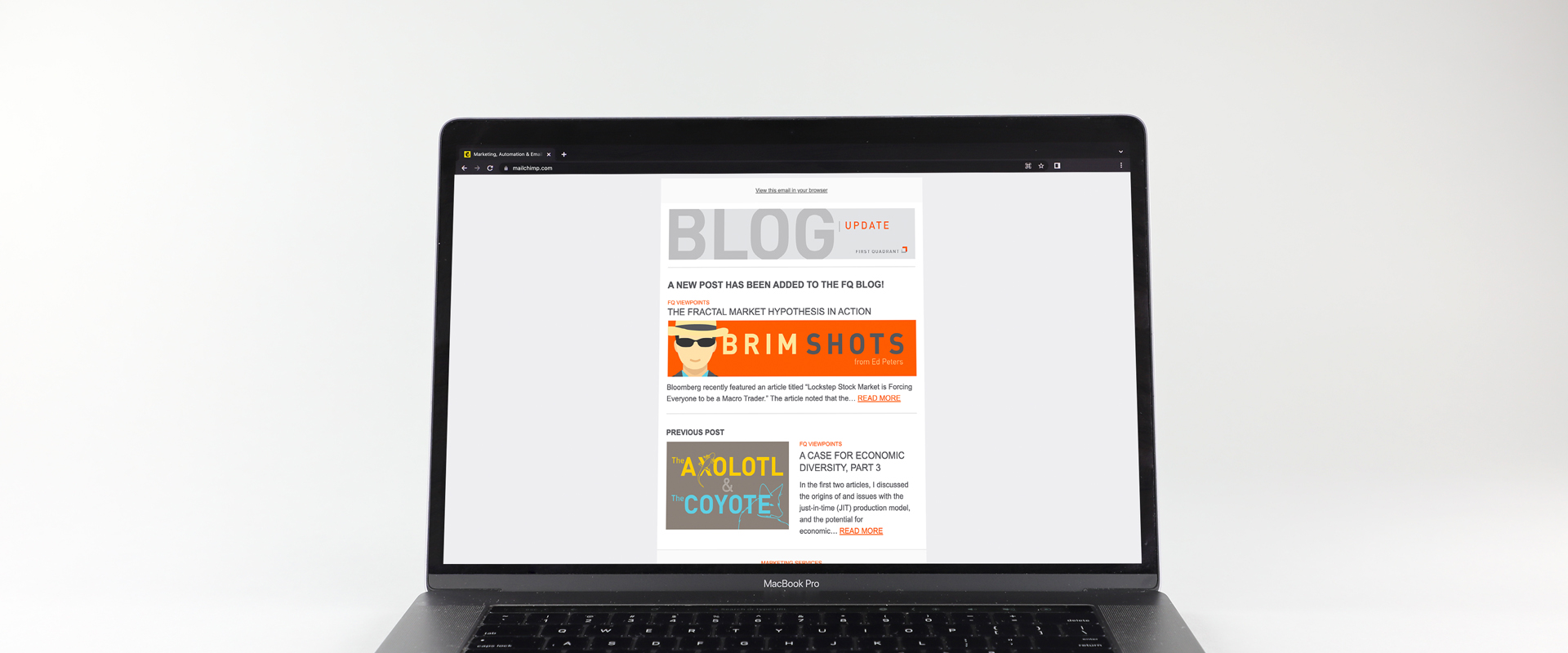 A desktop view of the blog Mailchimp email template.
